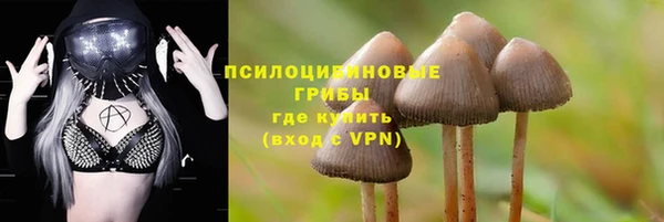 хмурый Осинники