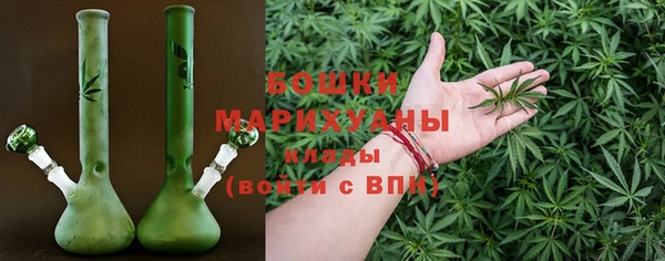 хмурый Осинники