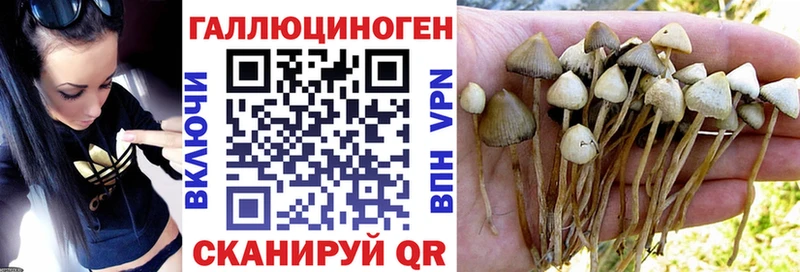 Галлюциногенные грибы мицелий  Остров 